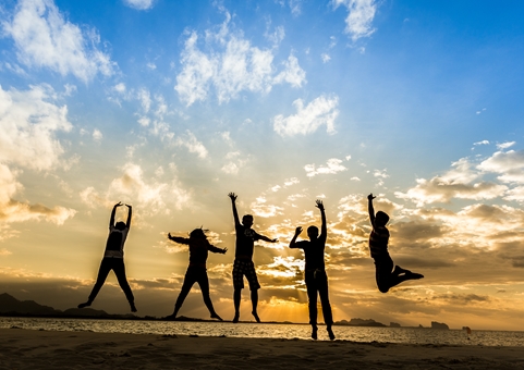 เว็บไซต์ ธุรกิจเครือข่าย